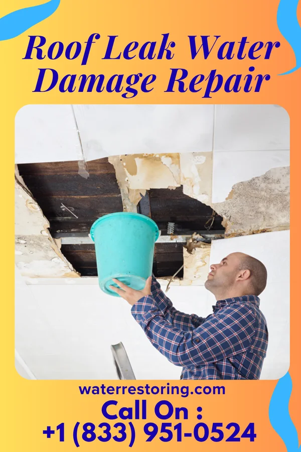 Roof Leak Water Damage Repair in Ault, CO